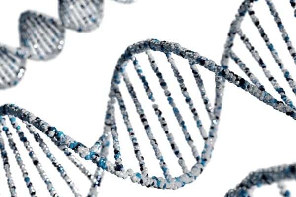 The Effect of Genetics on Dental Health